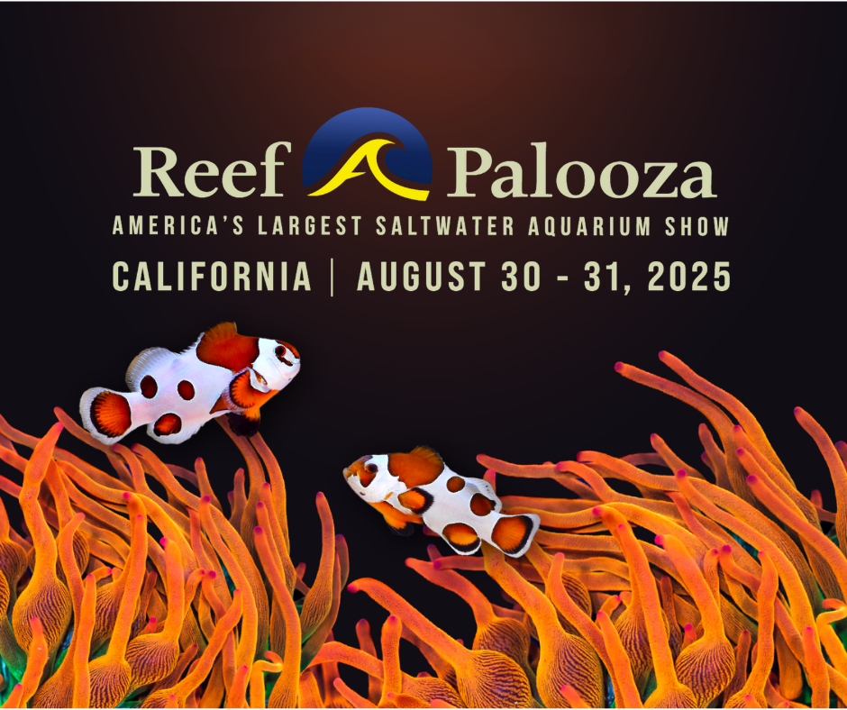 Reefapalooza 2025