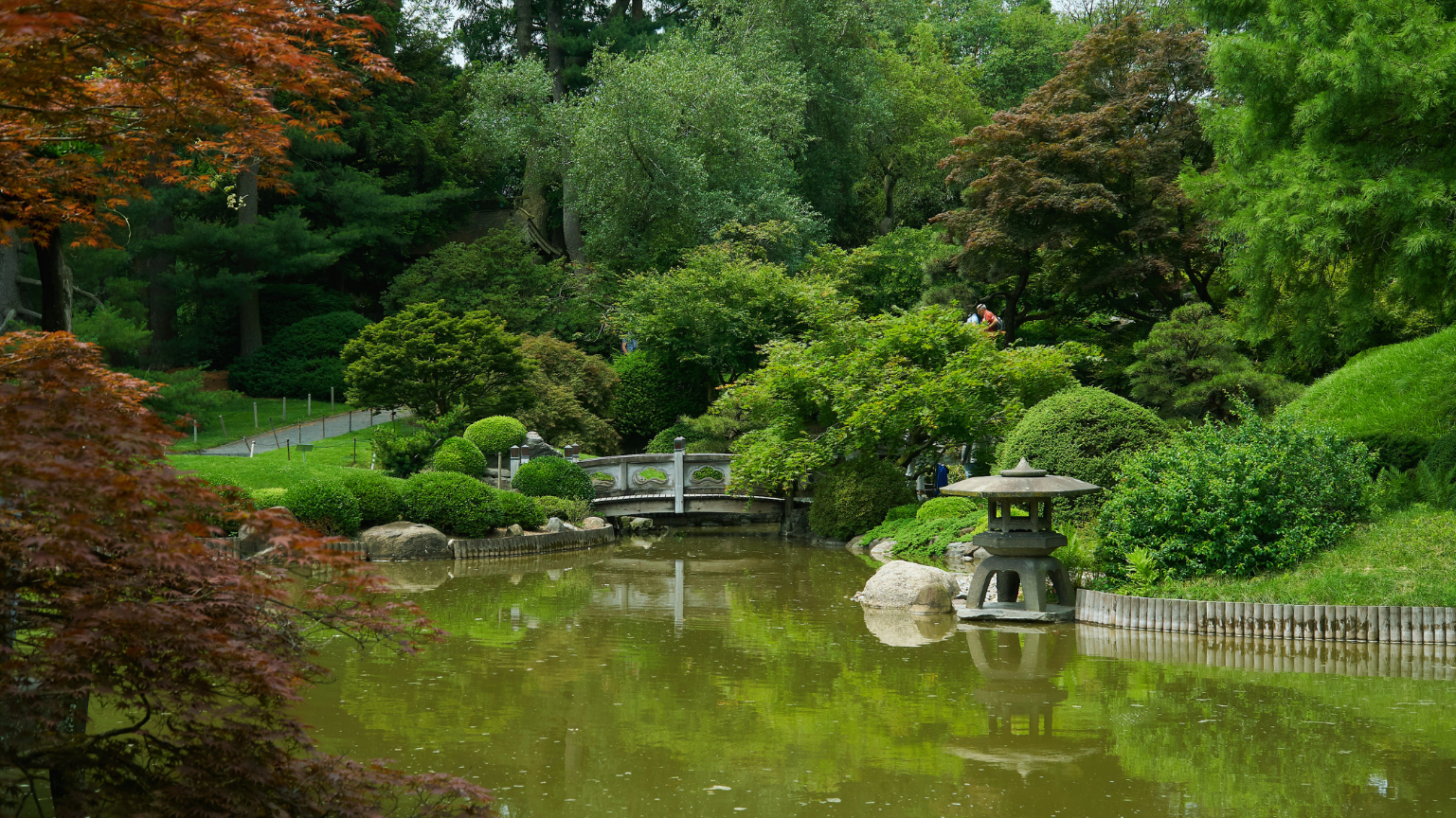 Ponds & Water Features