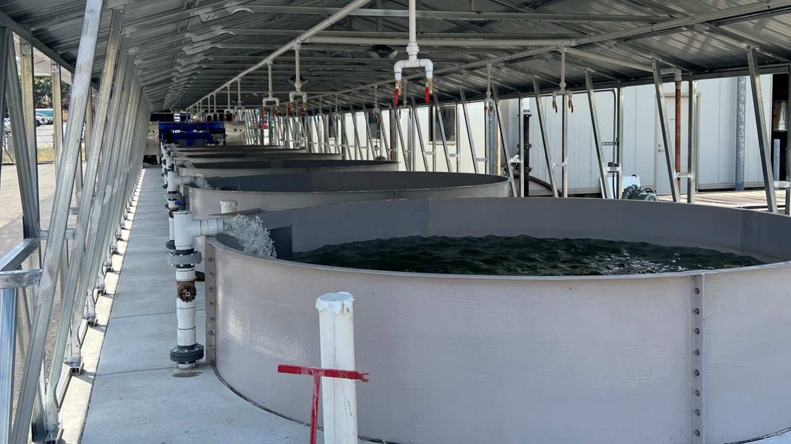 IAS Aquaculture Systems