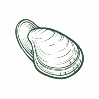 Legoe Bay Shellfish Logo