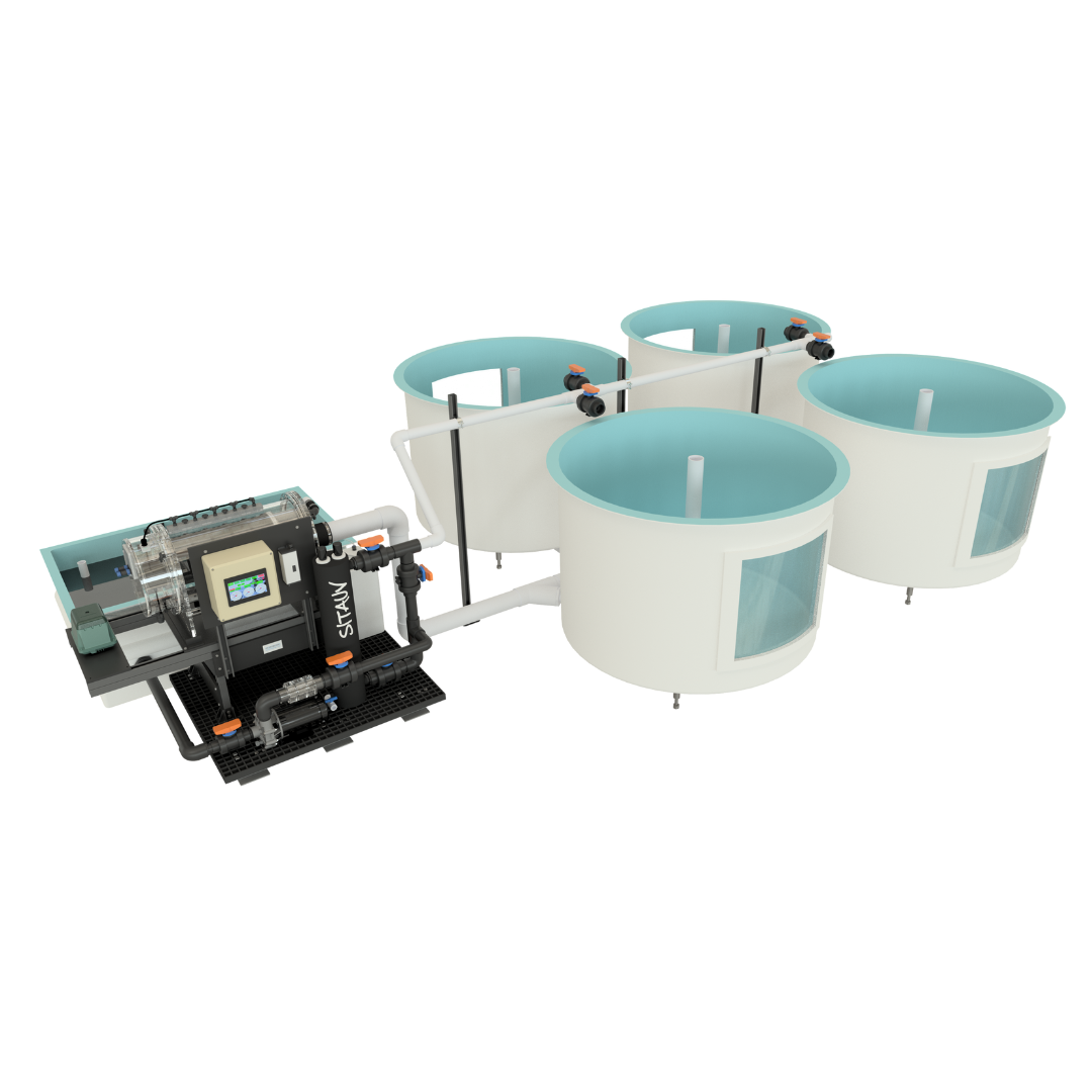 Recirculating Tanks Systems