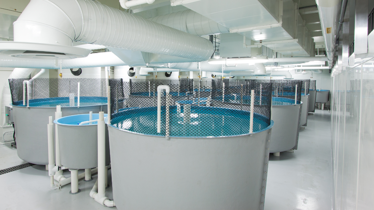 Aquatic Research Tanks