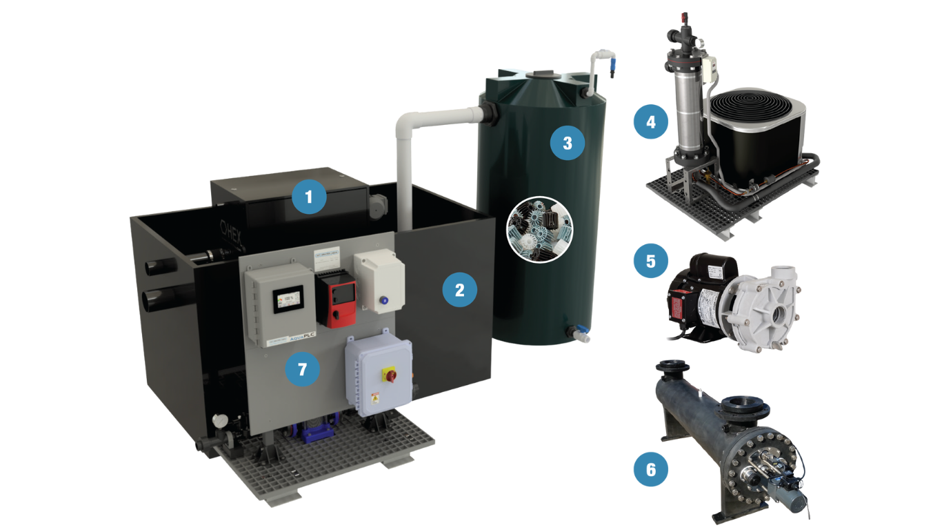 IFM Features IFM Features