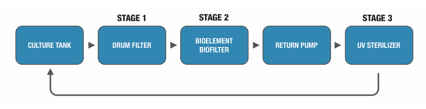 IFM Stages Infographic IFM Stages Infographic