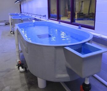 Carbondale Aquatic Research Lab 2