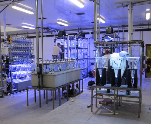 Carbondale Aquatic Research Lab 3