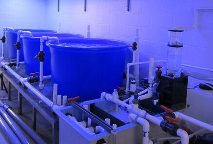 Carbondale Aquatic Research Lab 4
