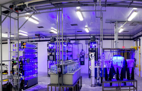 Carbondale Aquatic Research Lab 5