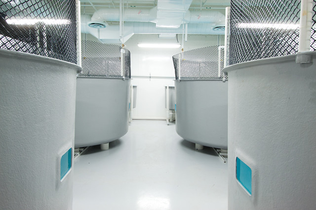 UBC Aquatic Research 14 UBC Aquatic Research 14