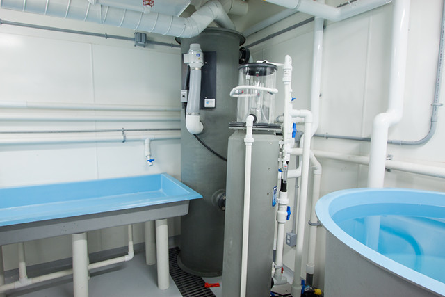 UBC Aquatic Research 15 UBC Aquatic Research 15