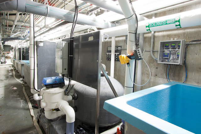 UBC Aquatic Research 16 UBC Aquatic Research 16