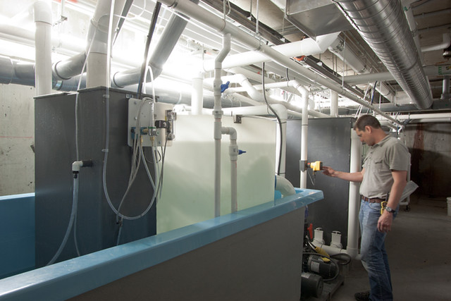 UBC Aquatic research 6 UBC Aquatic research 6