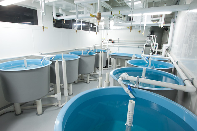 UBC Aquatic research 9 UBC Aquatic research 9