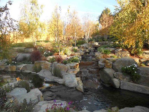 Residential Koi Pond