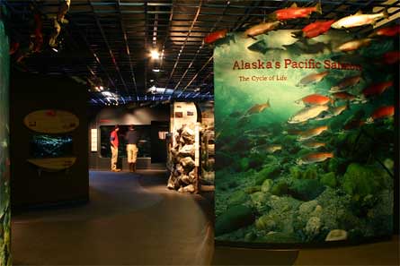 Alaska’s Sealife Center Salmon Exhibit cover