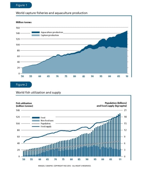 FAO Releases 2012 Aquaculture and Fisheries Report