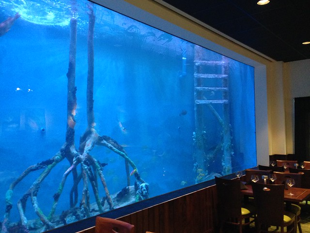 Guy Harvey Rumfish Aquarium Filtration System cover