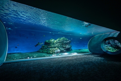 IAS Point Defiance Aquarium Project