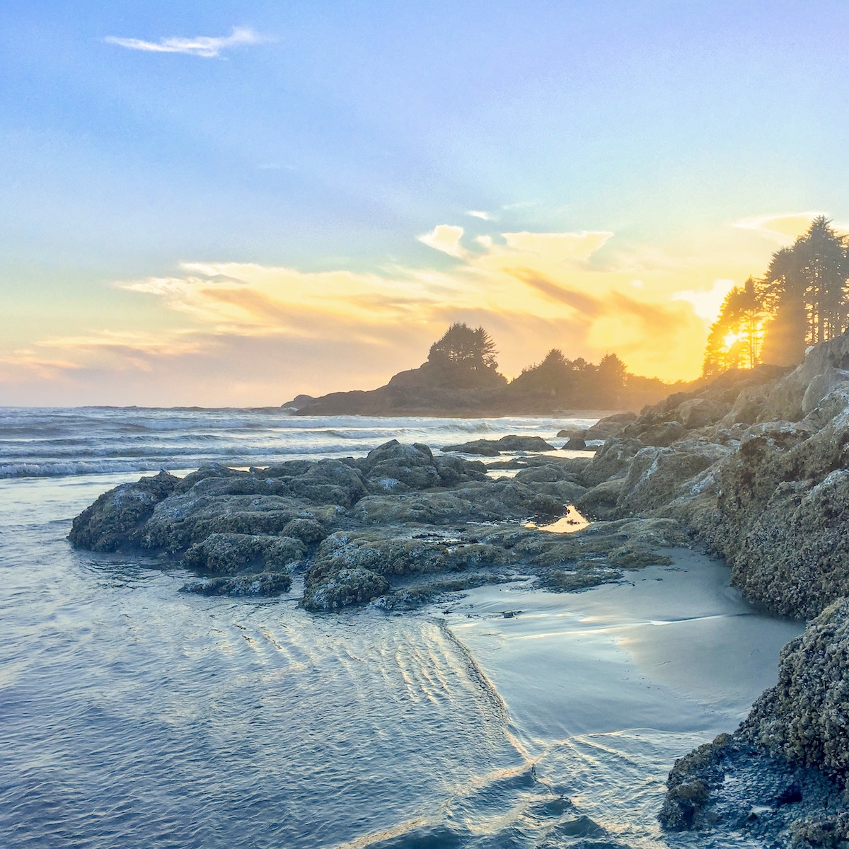 IAS Wins UBC Contract for ICCAS