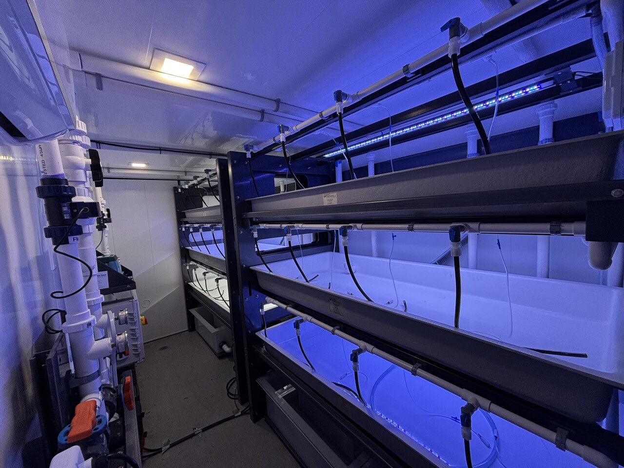 Kelp Rescue Containerized Nursery System Cover