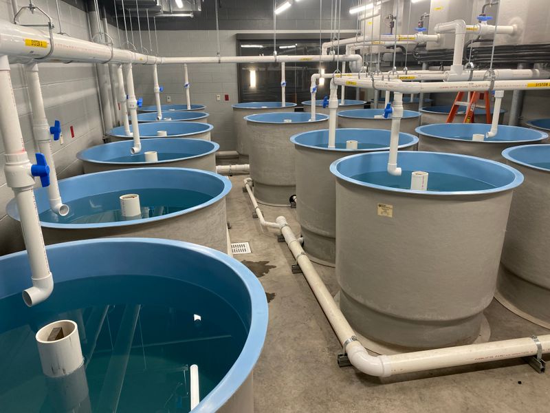 Lake Superior State University (LSSU) Cover