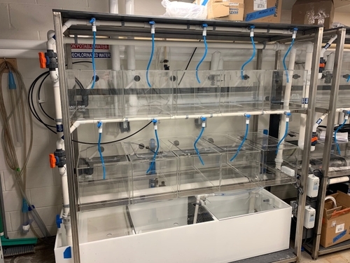 New Project Highlight- Saint Mary's Aquatic Research Lab