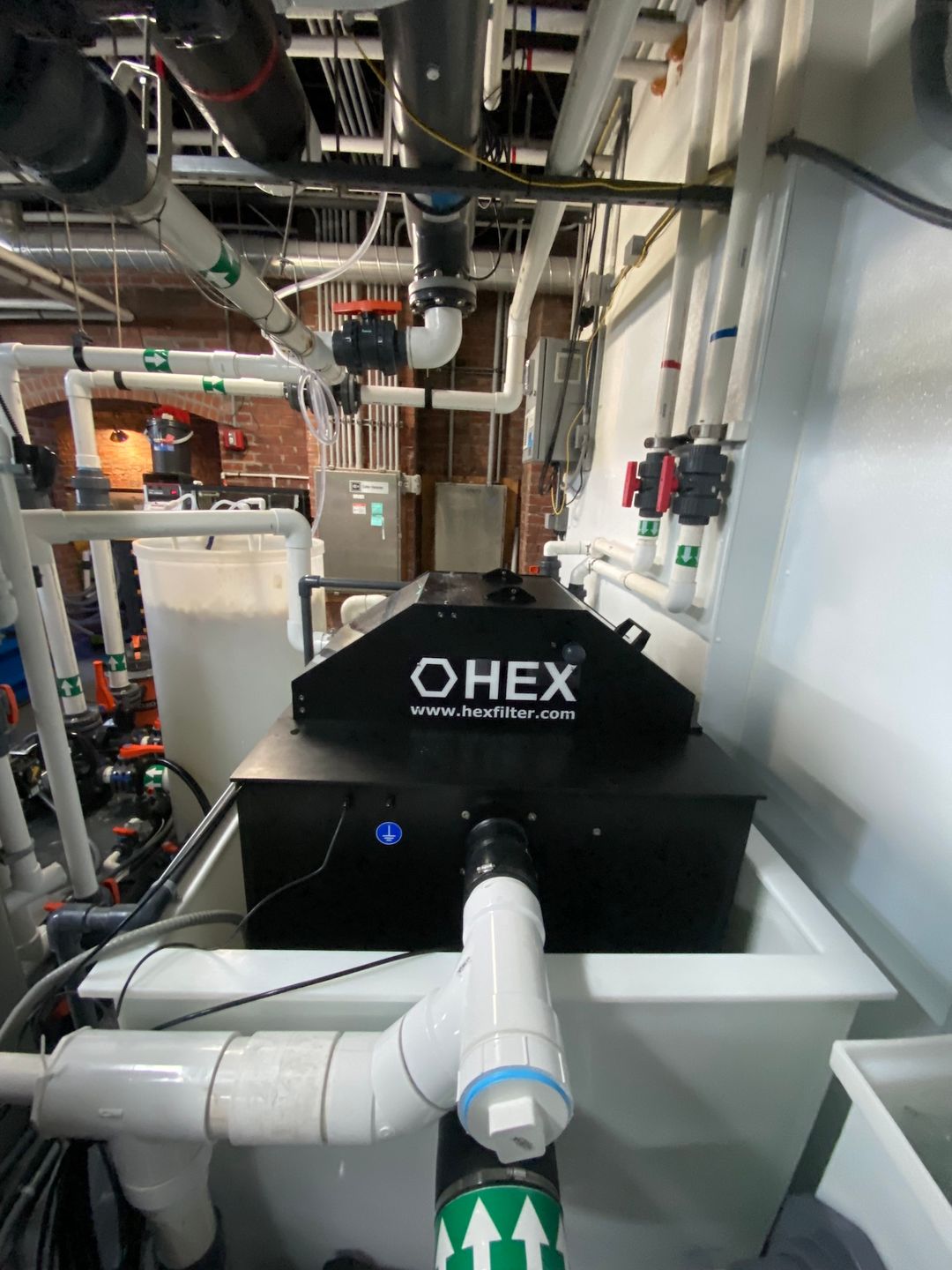 Public Aquarium Stingray Exhibit 1 Public Aquarium Stingray Exhibit 1