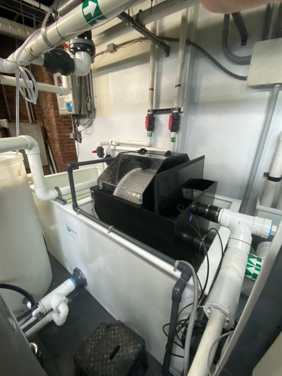 Public Aquarium Stingray Exhibit 2 Public Aquarium Stingray Exhibit 2