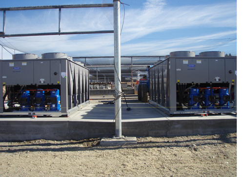 Salmon Hatchery Project