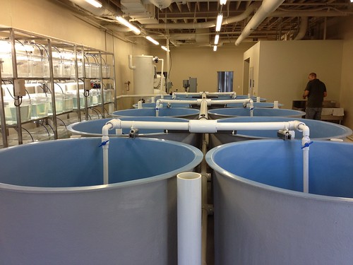 The Center for Aquaculture Technologies 3 The Center for Aquaculture Technologies 3