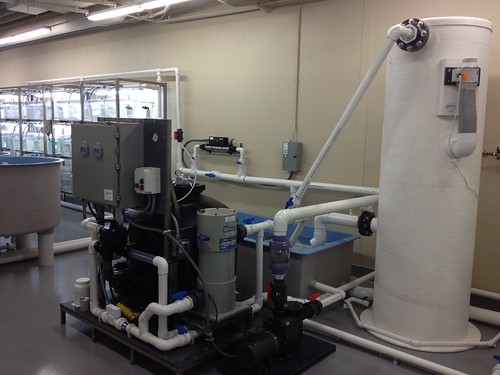 The Center for Aquaculture Technologies 4 The Center for Aquaculture Technologies 4