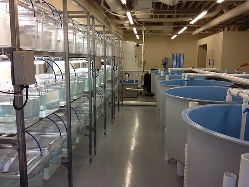 The Center for Aquaculture Technologies cover
