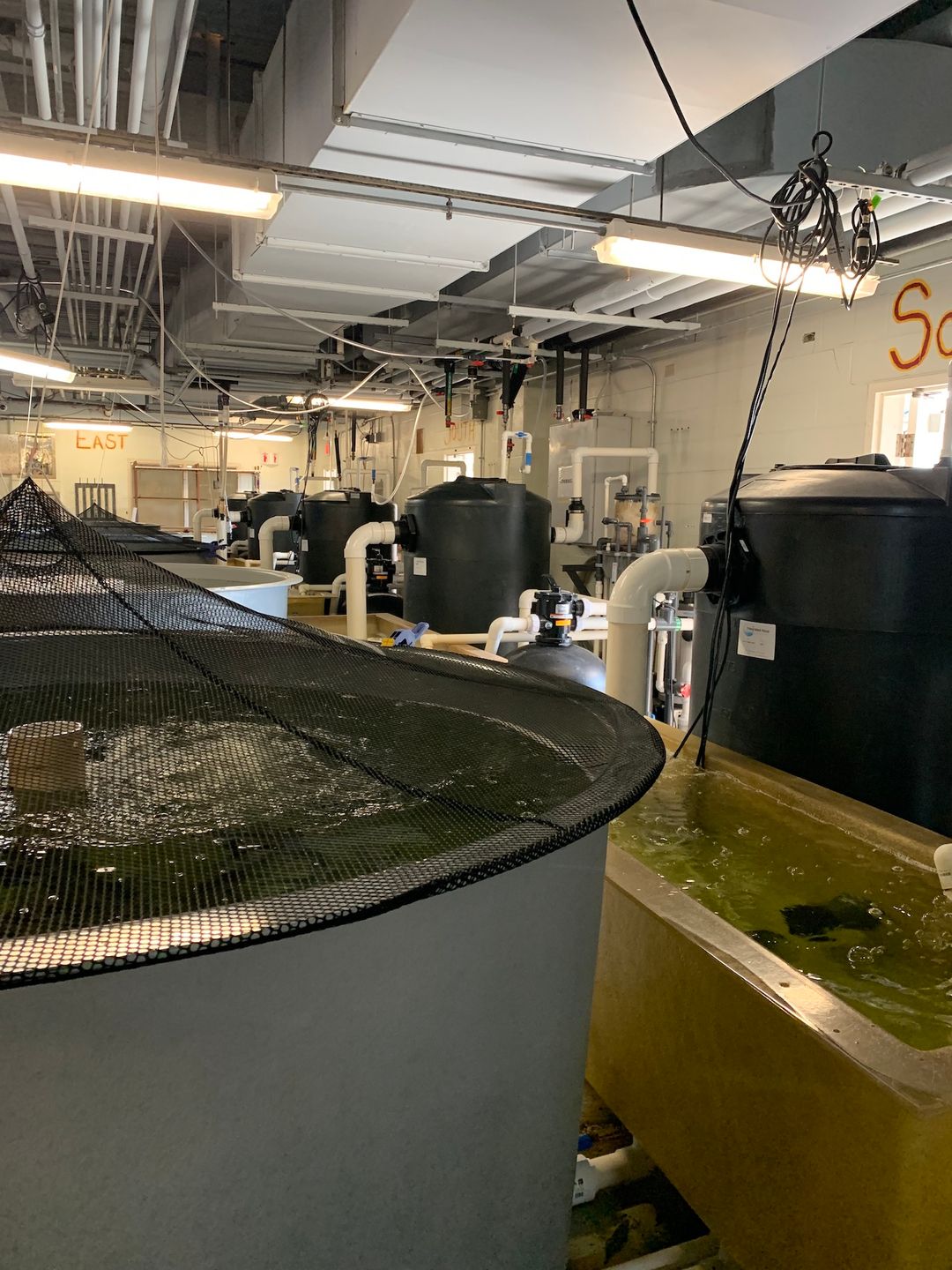 The Sound School Recirculating Aquaculture Systems cover
