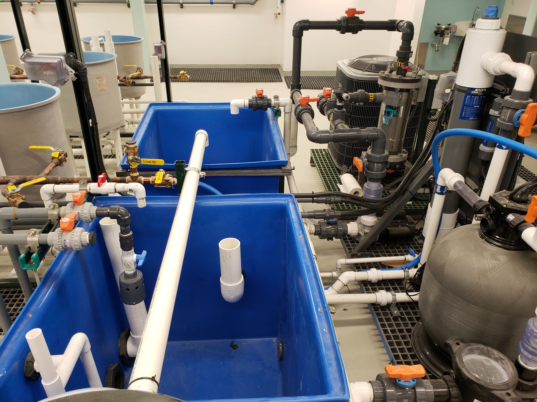 University of Waterloo Aquatic Threats Environmental Research Facility 3 University of Waterloo Aquatic Threats Environmental Research Facility 3