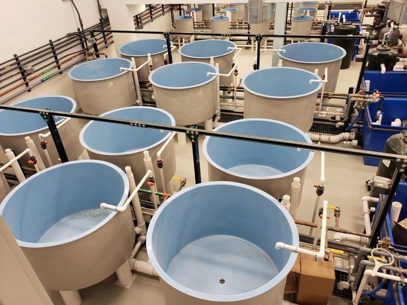 University of Waterloo Aquatic Threats Environmental Research Facility cover