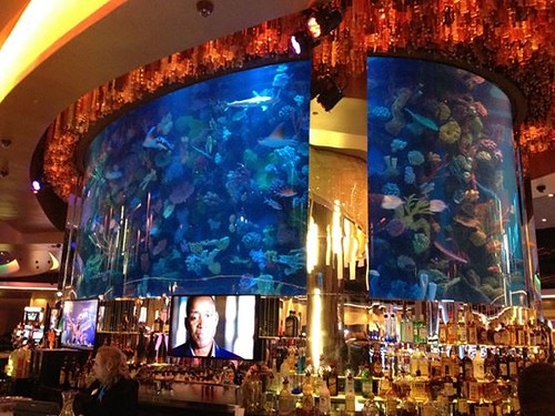 Wind Creek Casino Shark Tank Aquarium cover